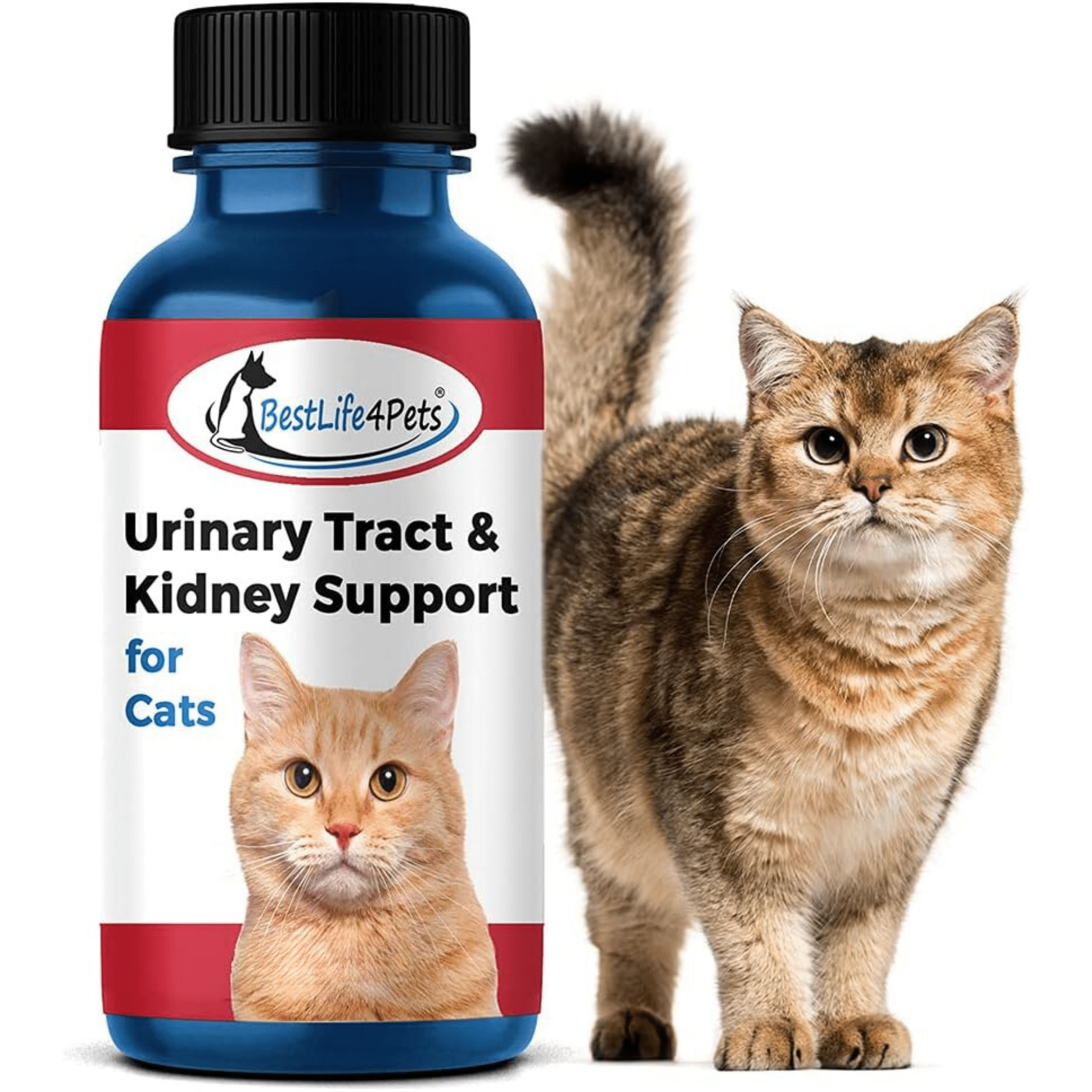 BestLife4Pets Cat UTI Urinary Tract Infection & Kidney Support