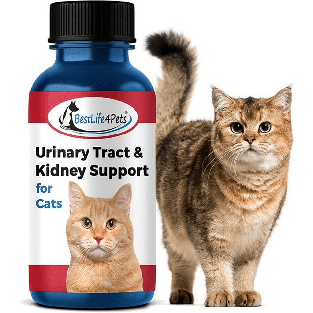 BestLife4Pets Cat UTI Urinary Tract Infection & Kidney Support