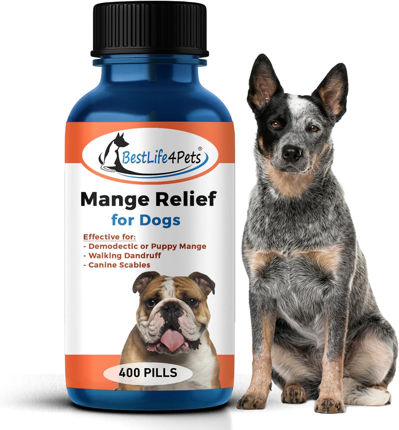 Purina Fortiflora Canine Nutritional Supplement Box