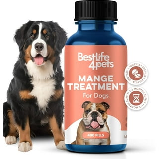 Medication for mites in dogs discount