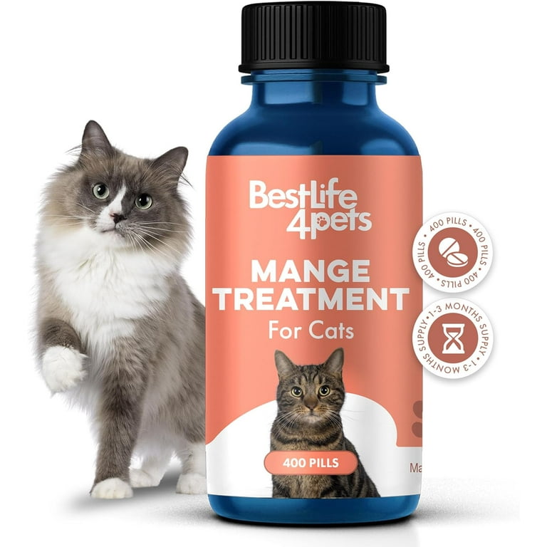 Holistic treatment for mange in dogs 2025