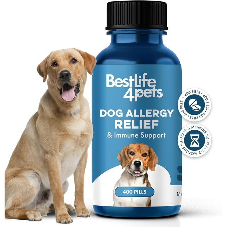 Pet Medicine For Skin Allergy In Dogs BestLife4Pets Dog Allergy