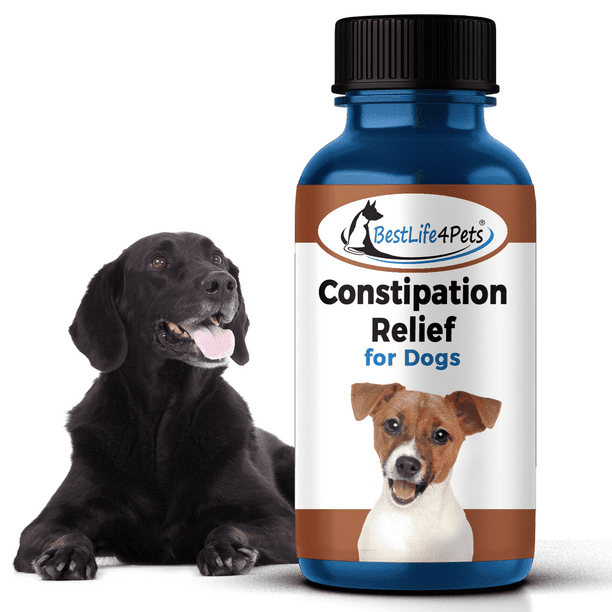 What To Use For Constipation In Dogs