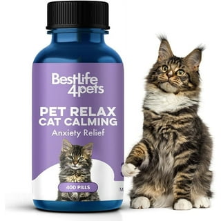 Cat anxiety relief hotsell