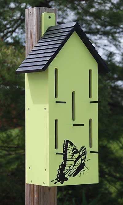 Green Painted Wooden Butterfly House with Black Perches