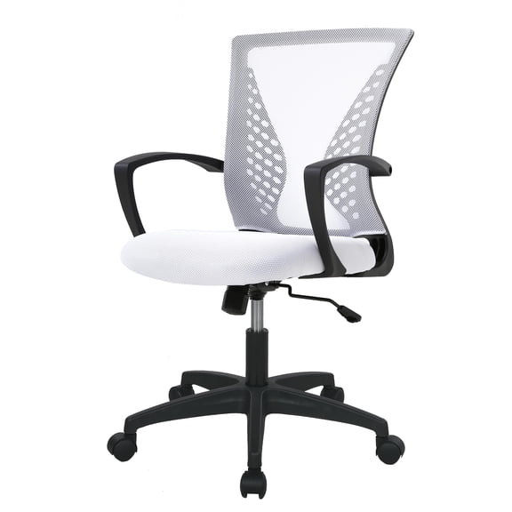 PayLessHere Ergonomic Office Chair, Lumbar Support, Adjustable Height with Armrests for Adults(White)