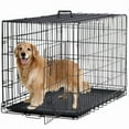 thumbnail image 1 of BestPet 48 inch Foldable Metal Dog Crate for Large Dogs, Double Door, Divider, Removable Tray(Black), 1 of 8