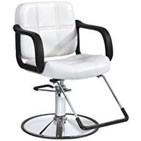 BestSalon Hydraulic Barber Chair Styling Salon Beauty Equipment Spa