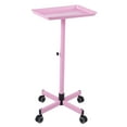 thumbnail image 1 of Bestauty Hair Color Tray with Wheels and Adjustable Storage Shelf for Salon Professionals, 1 of 6