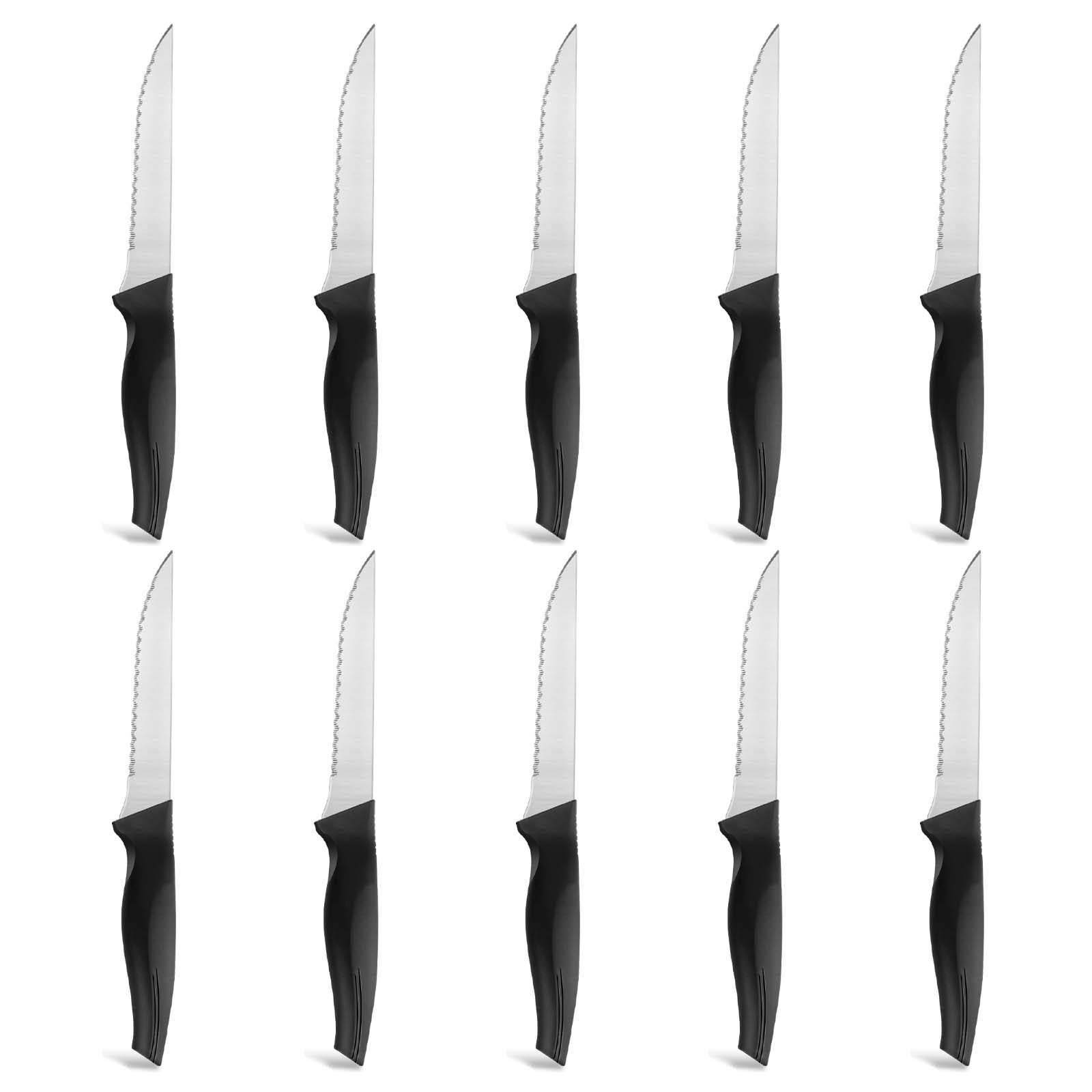 Bestdin Steak Knife Set, 10 Pieces Stainless Steel SerratedEdge