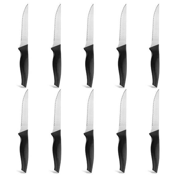 Bestdin Steak Knife Set, 10 Pieces Stainless Steel Serrated-Edge Pointed-Tip Steak Knife Set, Dishwasher Safe, Plastic Handle Meat Cutting Kitchen Steak Cutlery Set, Dinner Knife Table Knife