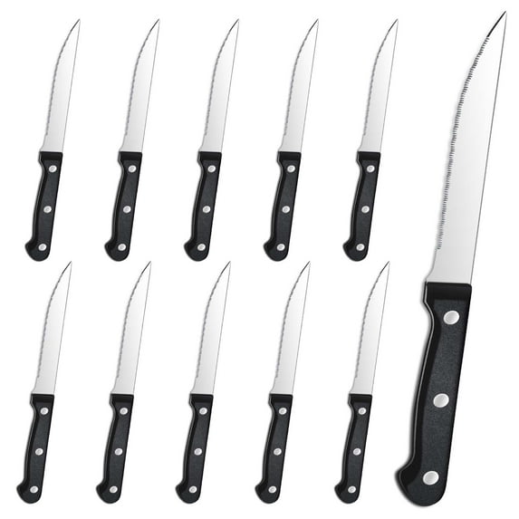 Bestdin Steak Knives, 10 Pieces 4.5" Long Blade Stainless Steel Serrated Steak Knife Set, Dishwasher Safe, Black Serrated Edge Steel Utility Knives Steakhouse Cutlery Utensil Dinner Knives
