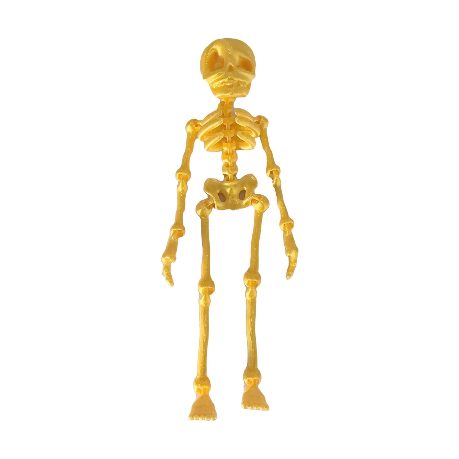 Besthm Poseable Skeleton Fridge Magnet 4.7 inches, Mini 3D Printed ...
