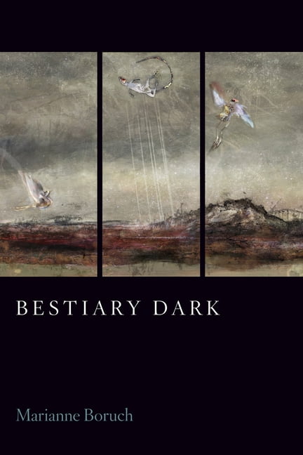Bestiary Dark, (Paperback) - Walmart.com