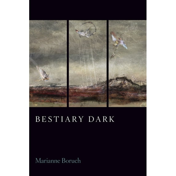Bestiary Dark, (Paperback) - Walmart.com