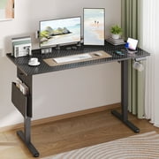 Bestier 55"x24" Height Adjustable Standing Desk Ergonomic Sit Stand Desk with USB Port & Storage, Black Carbon Fiber