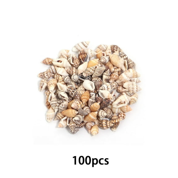 Bestsky Sea Shells Natural Seashells For Craft Projects Sea Shell Ideal For Aquarium And Diy Decoration Beach Craft Style1
