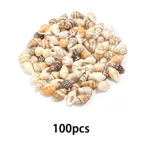 Bestsky Sea Shells Natural Seashells For Craft Projects Sea Shell Ideal For Aquarium And Diy Decoration Beach Craft Style3