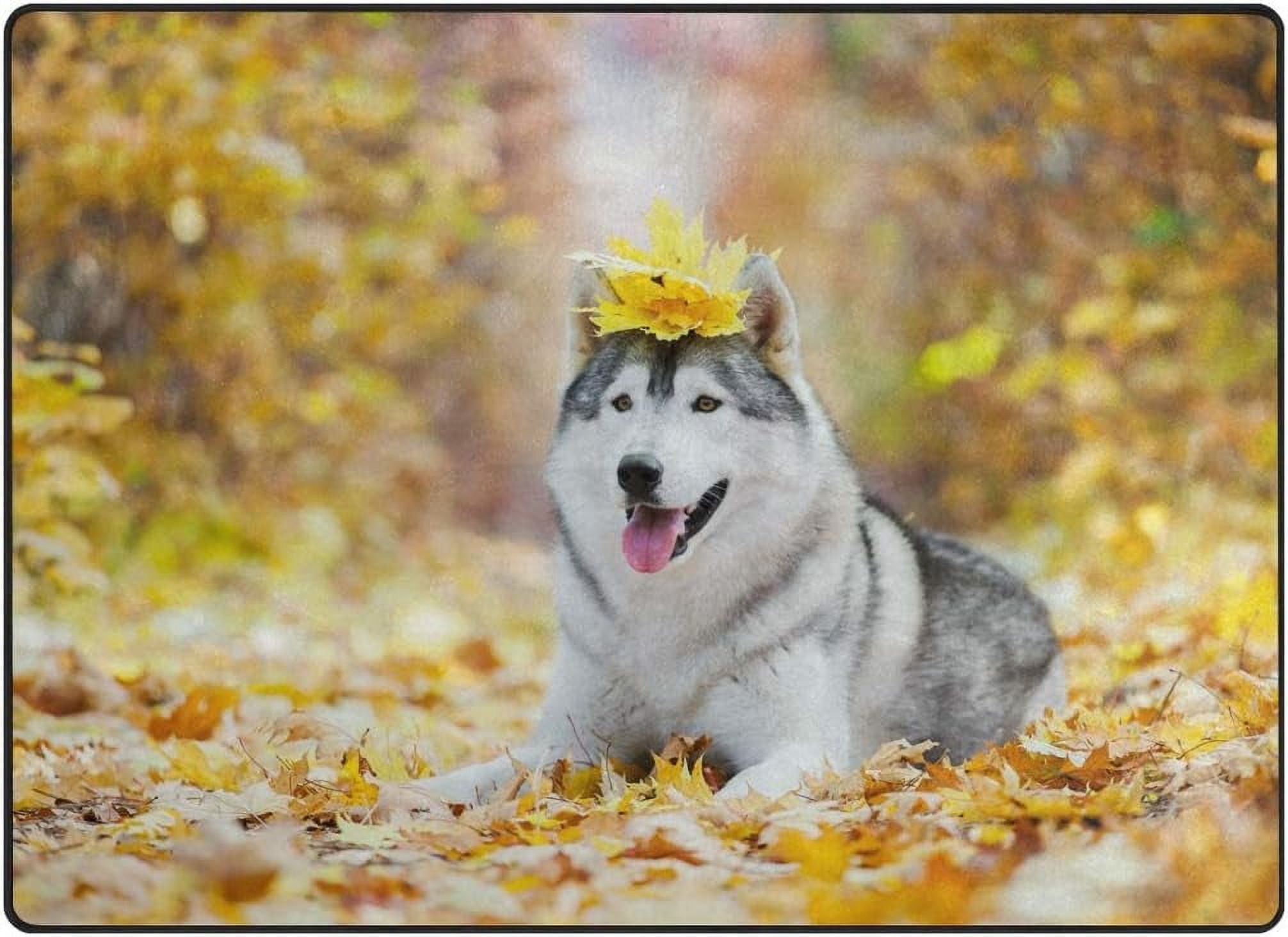 Husky doormat hot sale