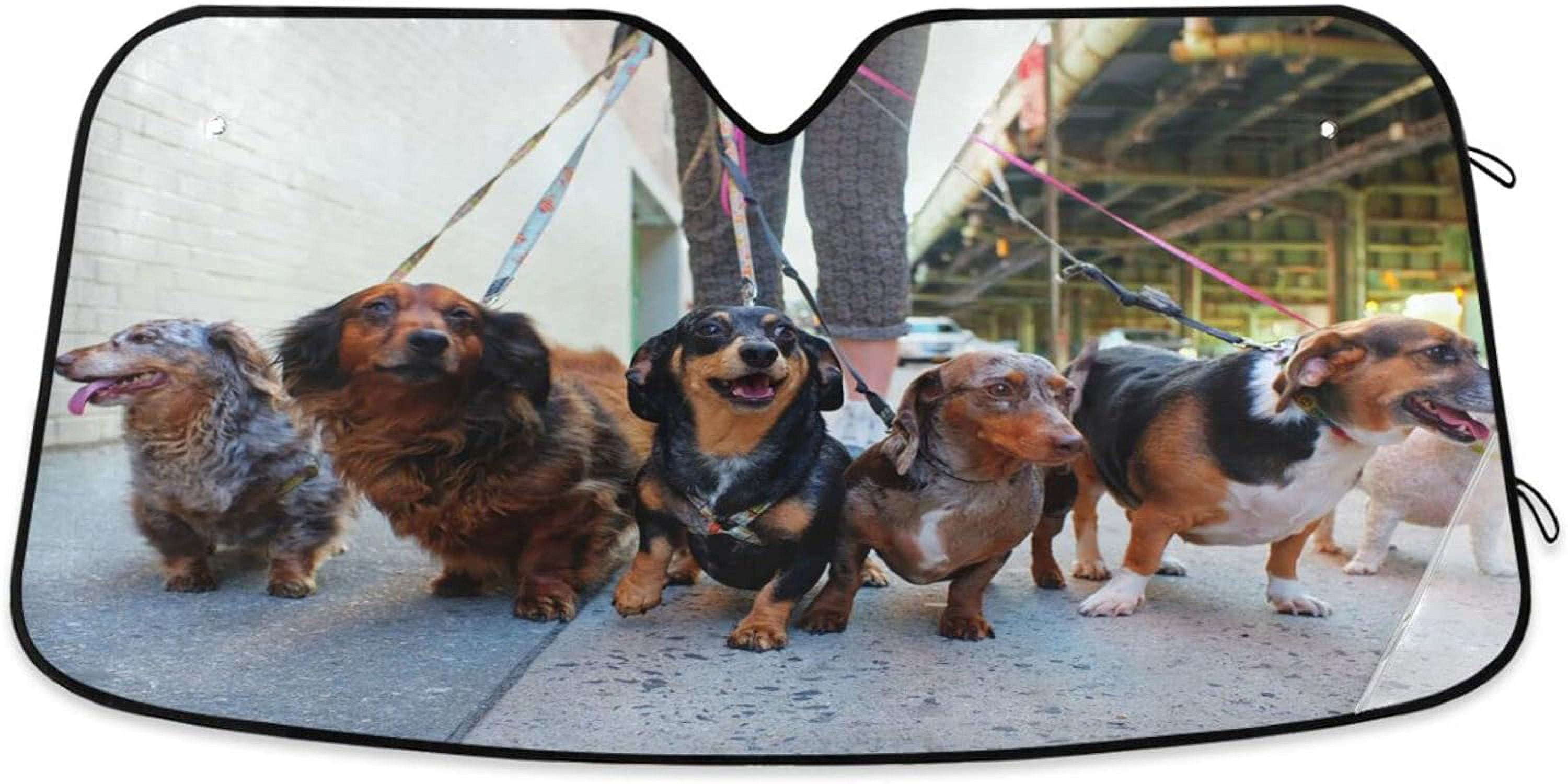 Bestwell Car Windshield Sunshade Dachshund Front Auto Sun Shield Shade