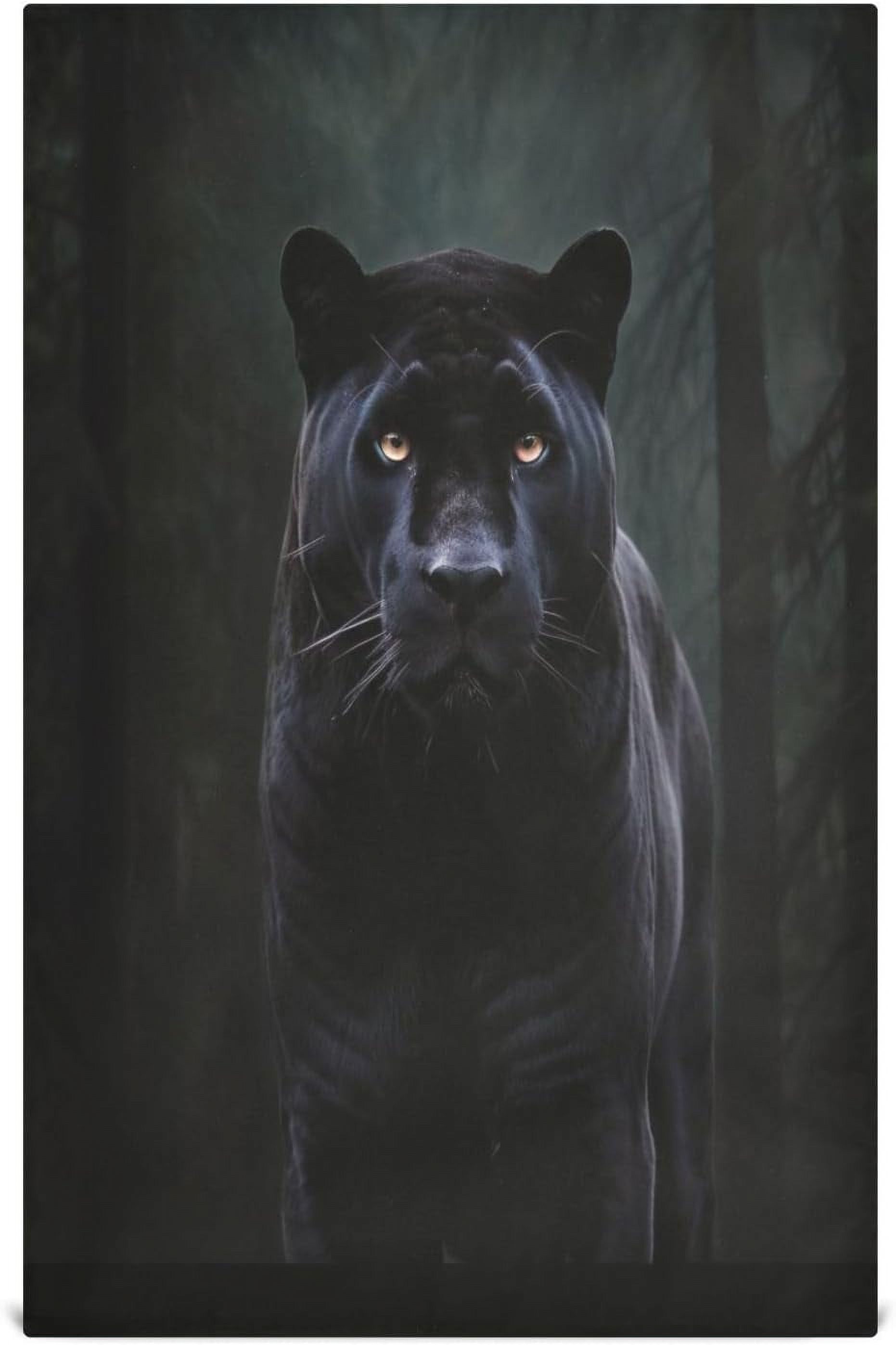 Bestwell Cool Black Panther Kitchen Towel Set Ultra Absorbency Fast ...