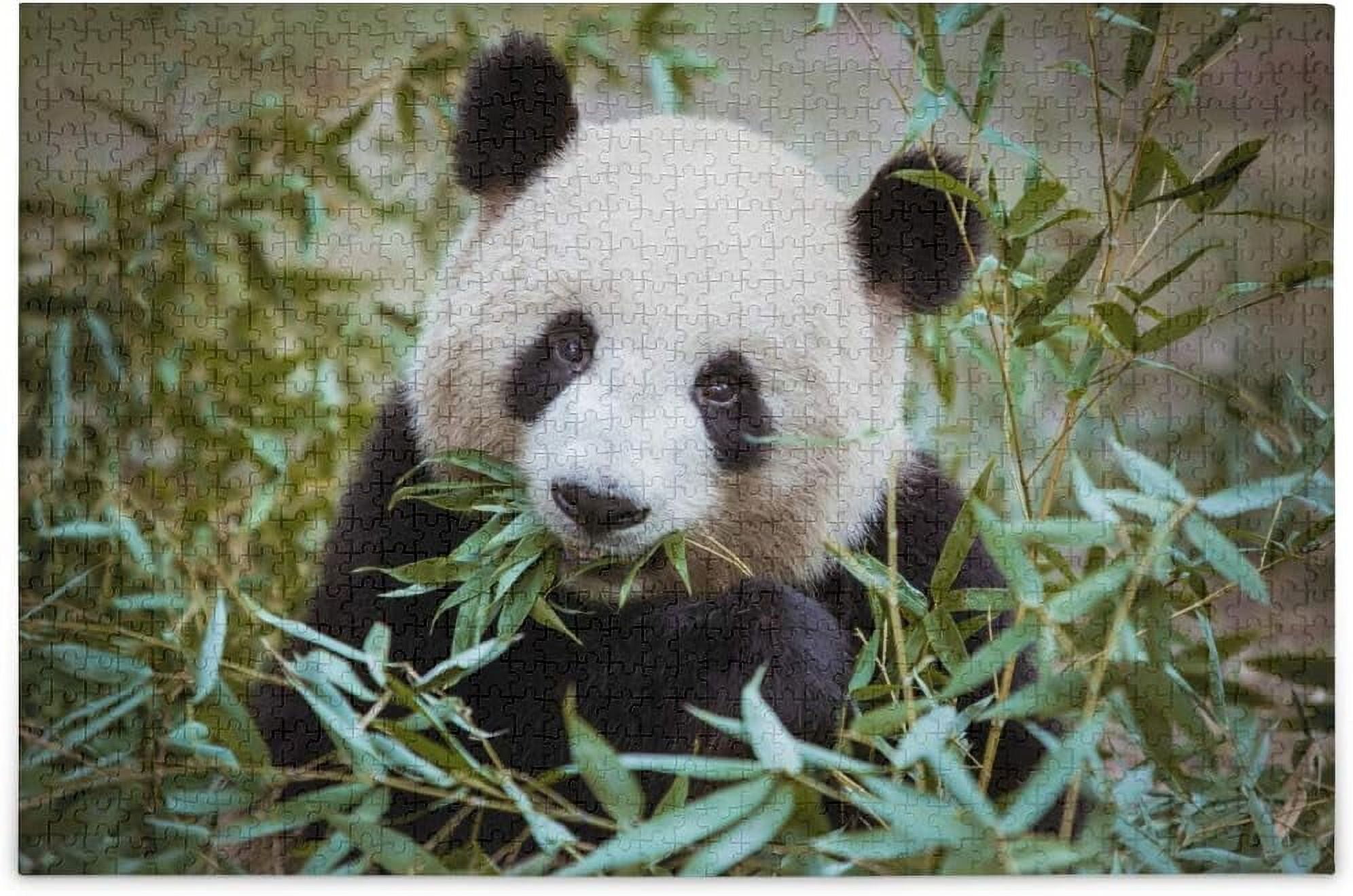 Bestwell Cute Giant Panda Bear Eating Bamboo Forest Jungle Jigsaw