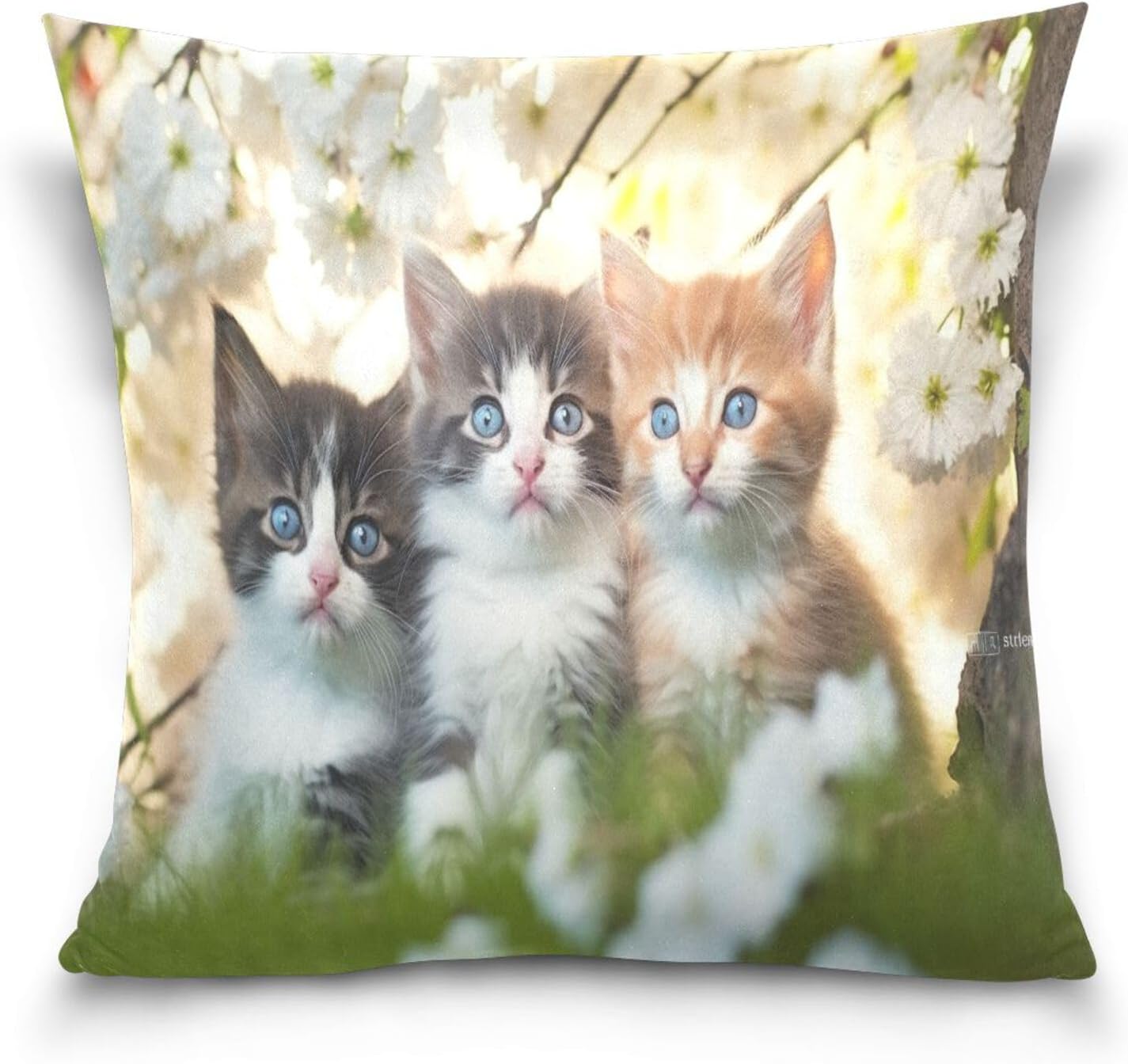Bestwell Funny Cats Pillow Covers Soft Crystal Velvet Decorative