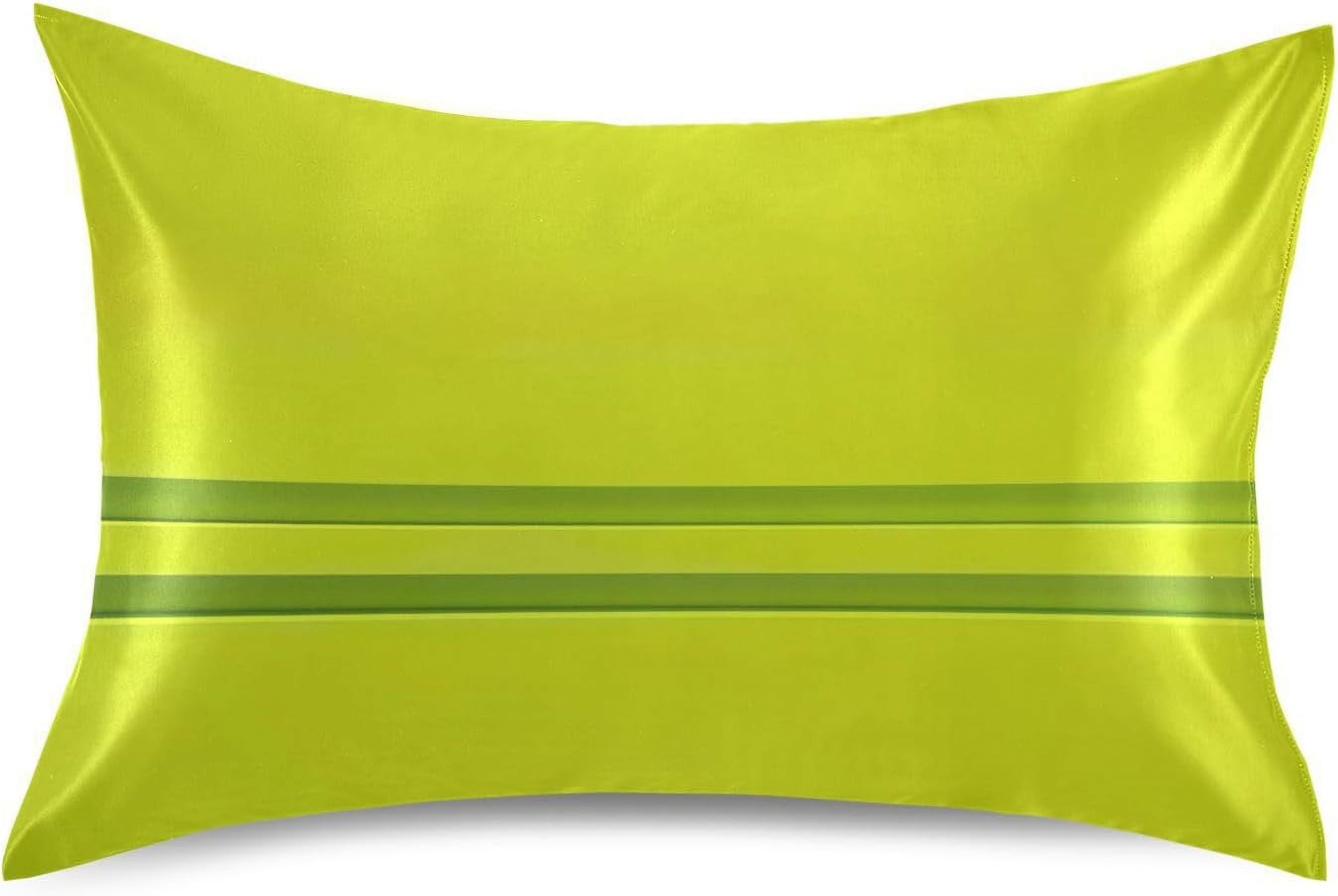 Bestwell Green Background Pillowcase for Hair and Skin Silk Pillowcase Standard Size 20 ×26Inn