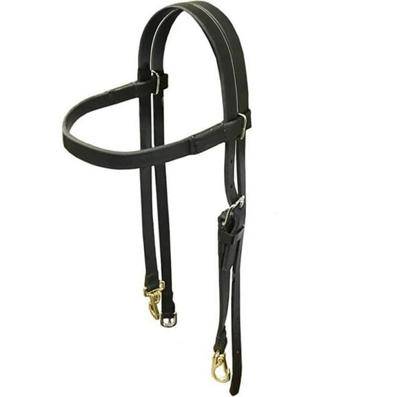 Beta Training Headstall