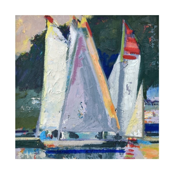 Beth A. Forst 'Waiting For Wind' Canvas Art