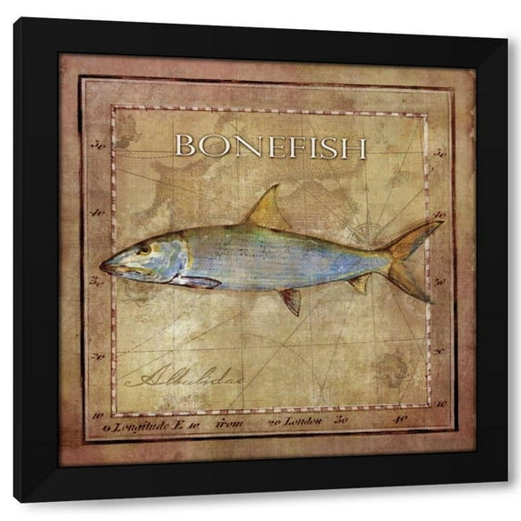 Beth Anne Creative 15x15 Black Modern Wood Framed Wall Art Titled - Ocean Fish IV