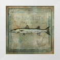 thumbnail image 1 of Beth Anne Creative 20x20 White Modern Wood Framed Museum Art Print Titled - Ocean Fish I, 1 of 4