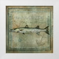thumbnail image 1 of Beth Anne Creative 26x26 White Modern Wood Framed Museum Art Print Titled - Ocean Fish I, 1 of 4