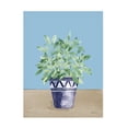 thumbnail image 1 of Beth Grove 'Herb Garden V White Navy' Canvas Art, 1 of 4