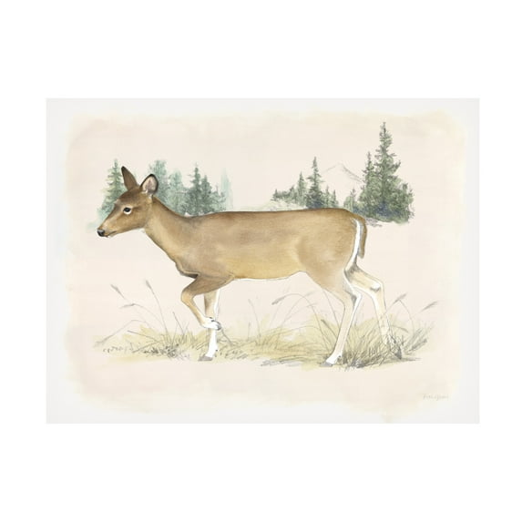 Beth Grove 'Wilderness Collection Deer' Canvas Art