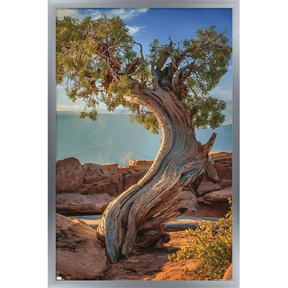 Beth Sheridan - Dead Horse Point Wall Poster, 14.725" x 22.375", Framed