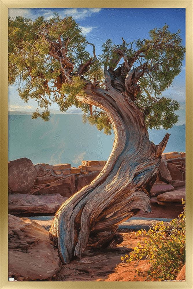 Beth Sheridan - Dead Horse Point Wall Poster, 14.725" x 22.375", Framed