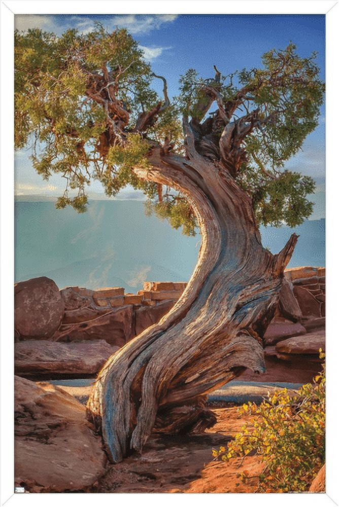 Beth Sheridan - Dead Horse Point Wall Poster, 22.375" x 34", Framed