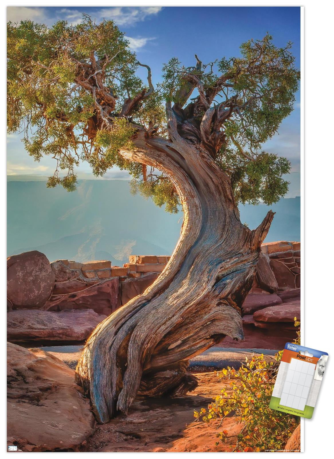 Beth Sheridan - Dead Horse Point Wall Poster, 22.375" x 34"