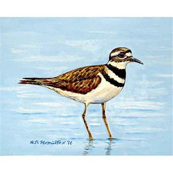Betsy Drake DM546 18 x 26 in. Killdeer Door Mat