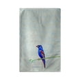thumbnail image 1 of Betsy Drake Interiors Blue Grosebeak Beach Towel, 1 of 1