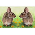 thumbnail image 1 of Betsy Drake DM053 18 x 26 in. Rabbits Door Mat, 1 of 1