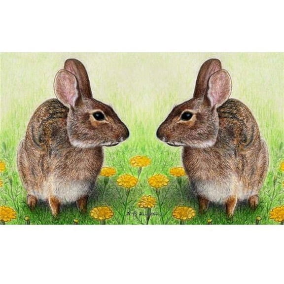 Betsy Drake DM053 18 x 26 in. Rabbits Door Mat