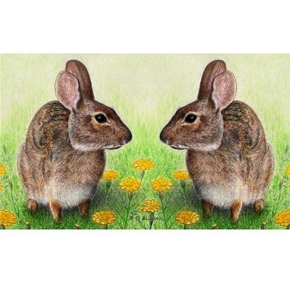 Betsy Drake DM053 18 x 26 in. Rabbits Door Mat