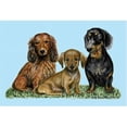 thumbnail image 1 of Betsy Drake DM074 Dachshunds Door Mat 18''x26'', 1 of 1