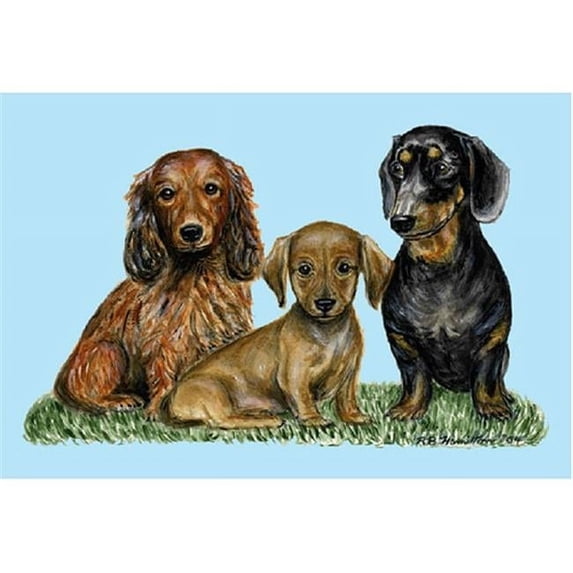 Betsy Drake DM074 Dachshunds Door Mat 18''x26''