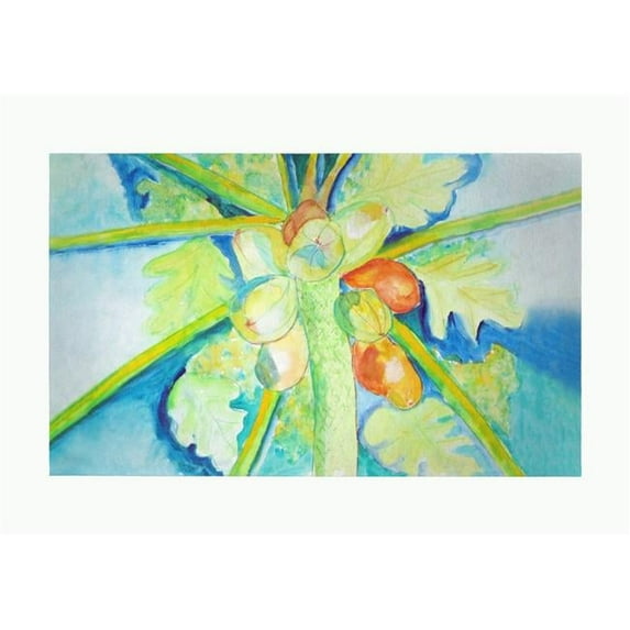 Betsy Drake DM1100G 30 x 50 in. Big Cocoa Nuts Door Mat