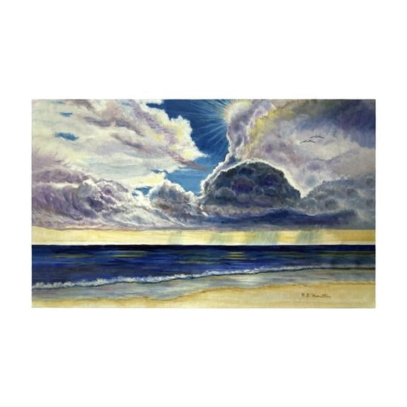 Betsy Drake DM1218G 30 x 50 in. Breaking Through Door Mat