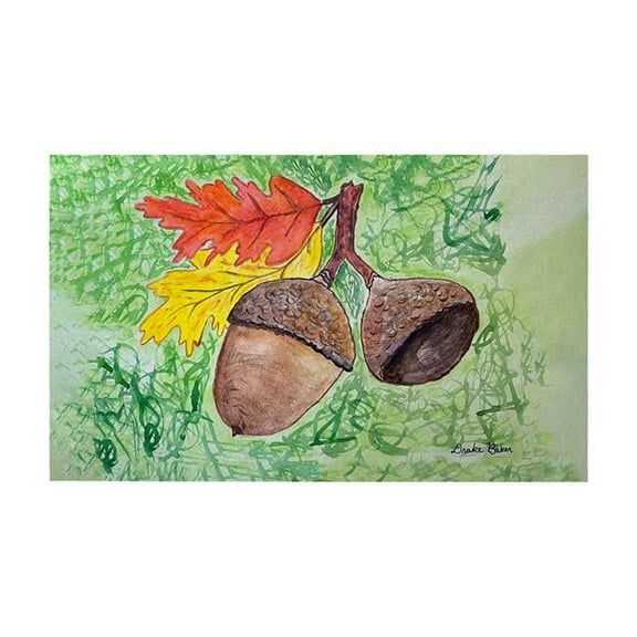 Betsy Drake DM1389G 30 x 50 in. Drakes Acorns Door Mat