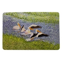 Betsy Drake DM1402 18 x 26 in. White Pelican Wings Door Mat